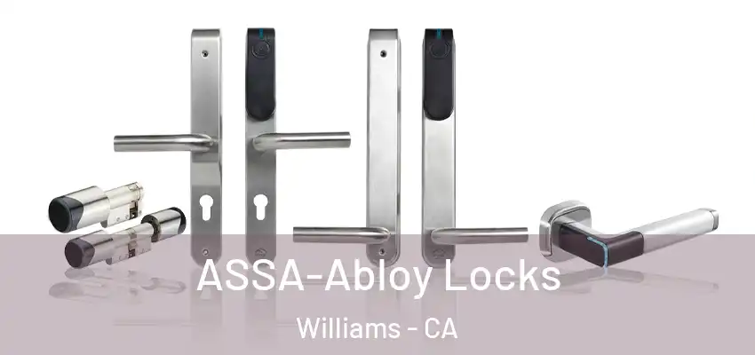  ASSA-Abloy Locks Williams - CA