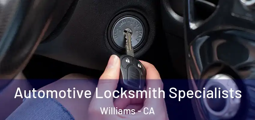 Automotive Locksmith Specialists Williams - CA