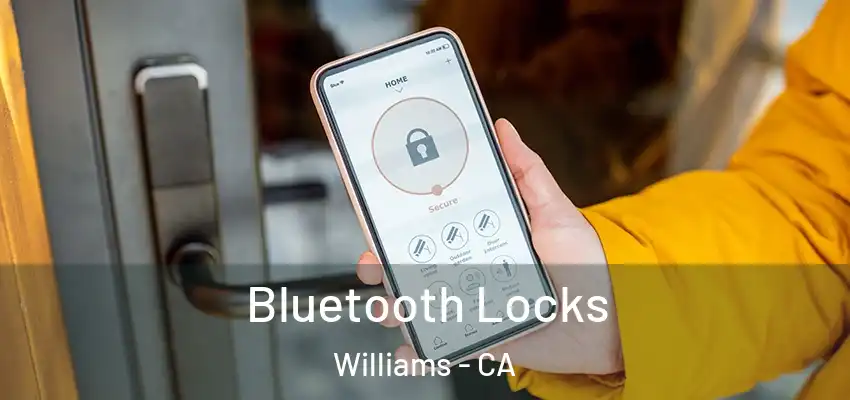  Bluetooth Locks Williams - CA