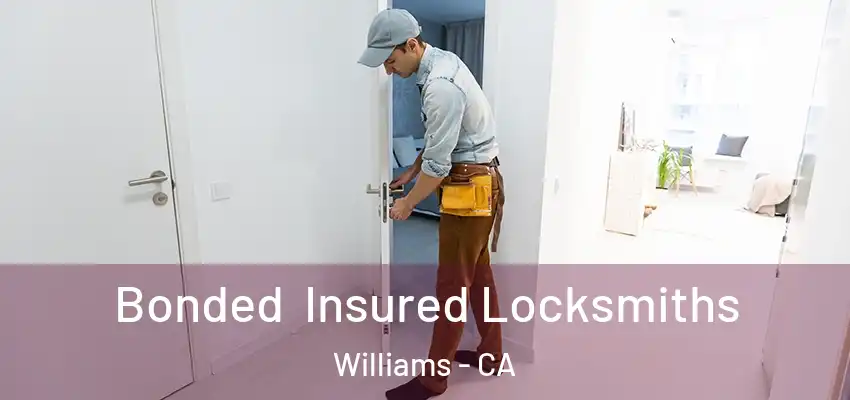Bonded Insured Locksmiths Williams - CA