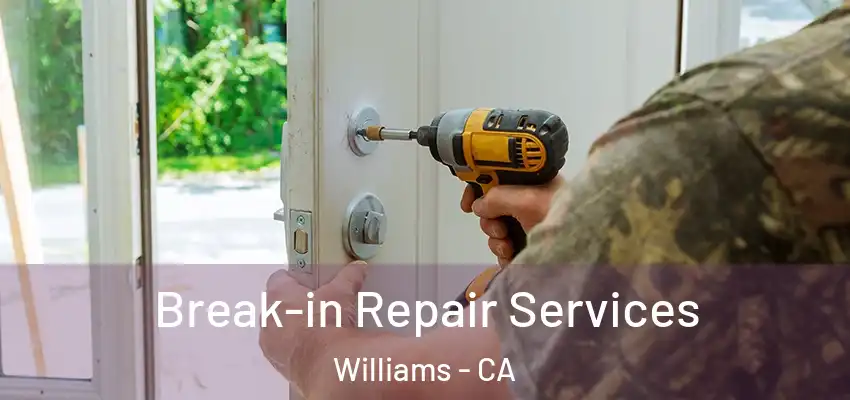 Break-in Repair Services Williams - CA