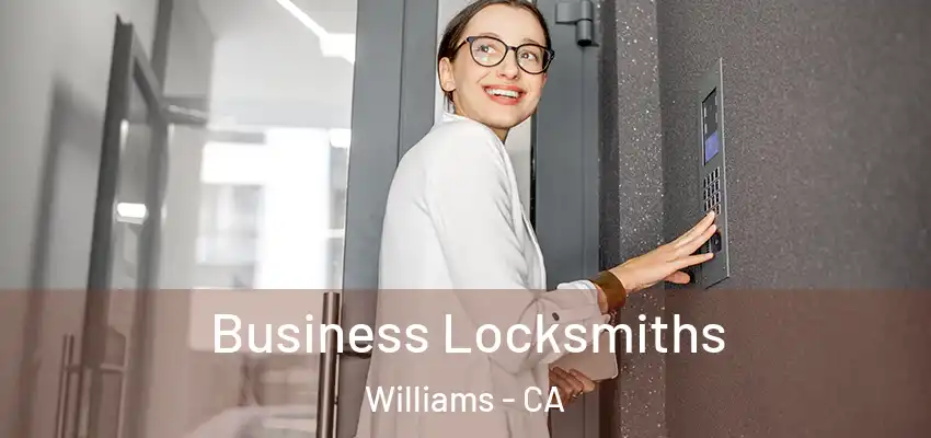Business Locksmiths Williams - CA