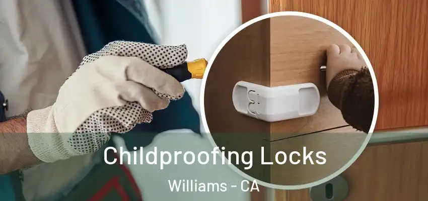 Childproofing Locks Williams - CA