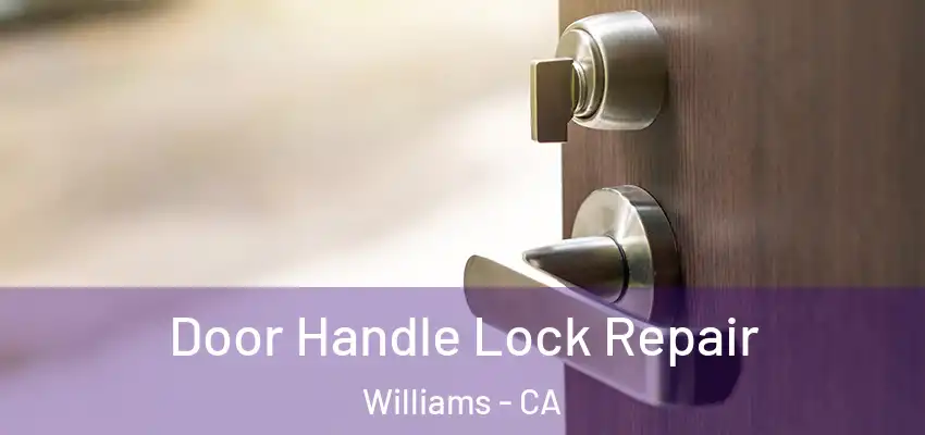 Door Handle Lock Repair Williams - CA
