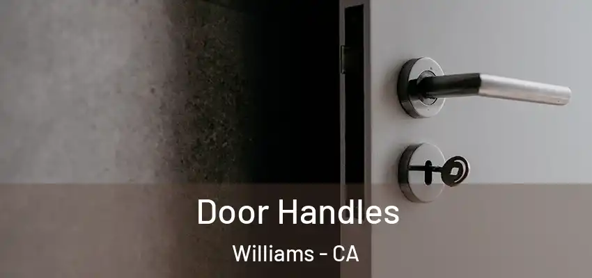 Door Handles Williams - CA