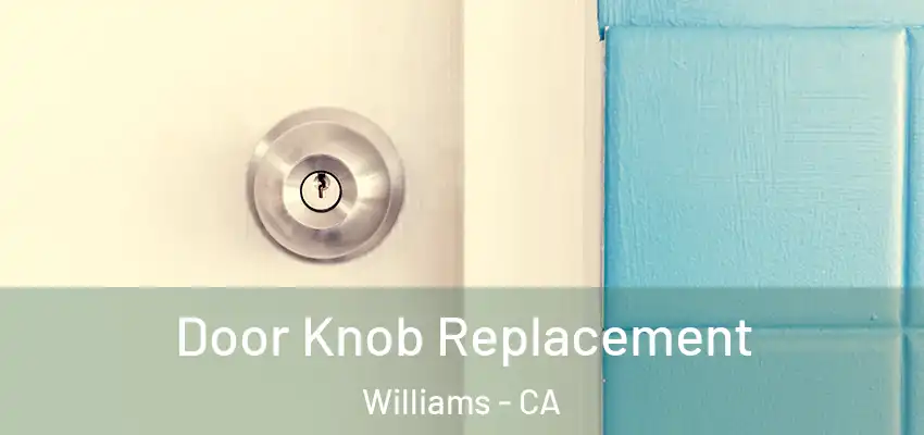  Door Knob Replacement Williams - CA