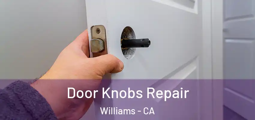  Door Knobs Repair Williams - CA