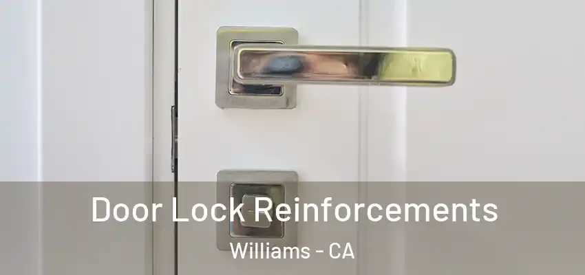 Door Lock Reinforcements Williams - CA