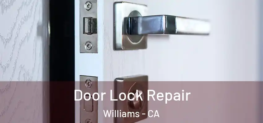 Door Lock Repair Williams - CA