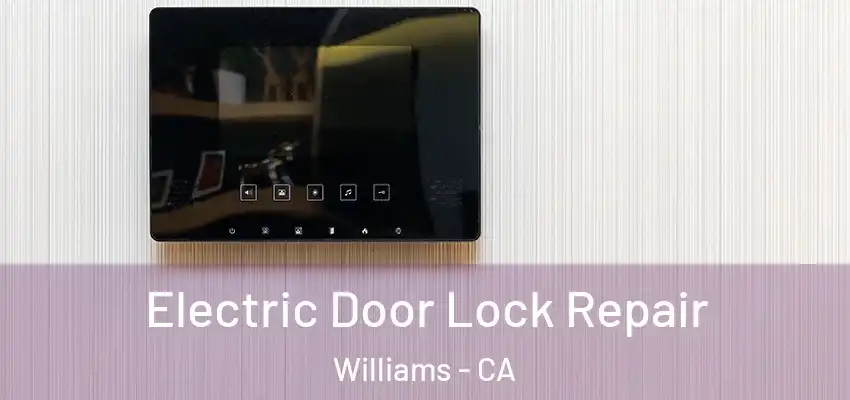  Electric Door Lock Repair Williams - CA