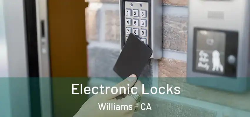  Electronic Locks Williams - CA