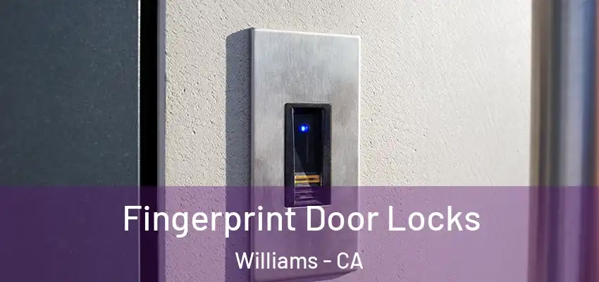  Fingerprint Door Locks Williams - CA