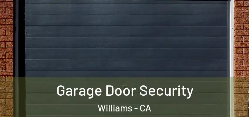 Garage Door Security Williams - CA