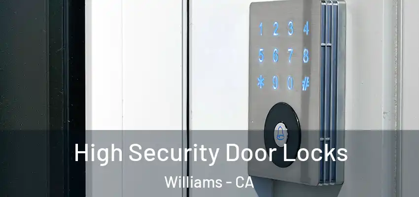  High Security Door Locks Williams - CA