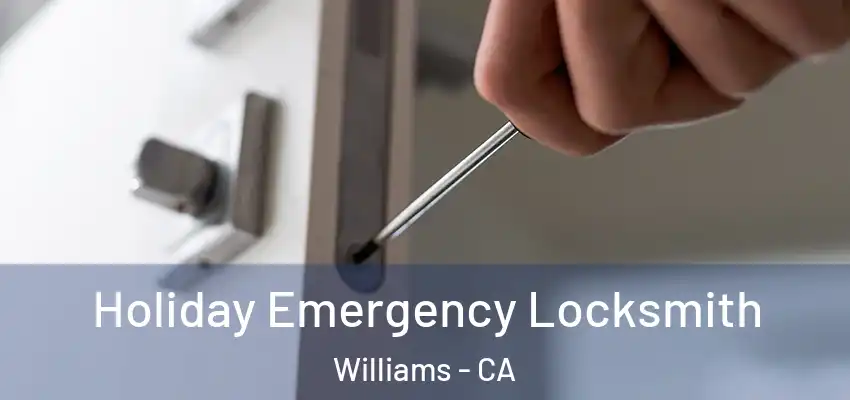 Holiday Emergency Locksmith Williams - CA