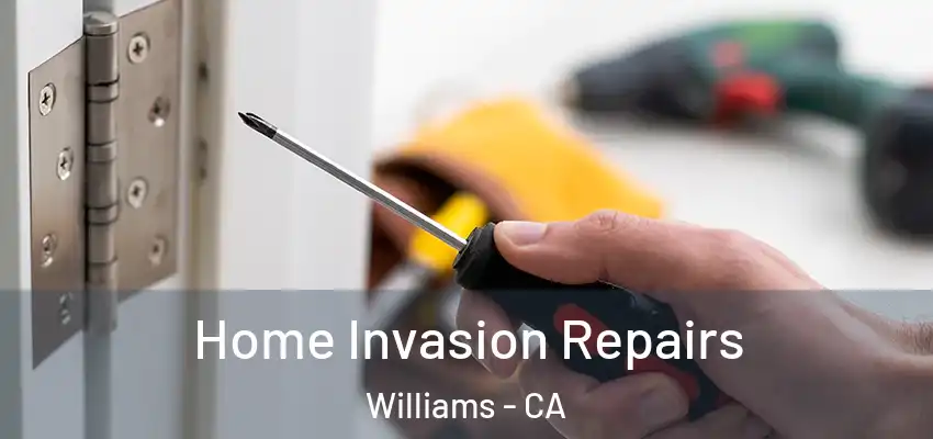 Home Invasion Repairs Williams - CA