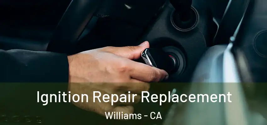  Ignition Repair Replacement Williams - CA