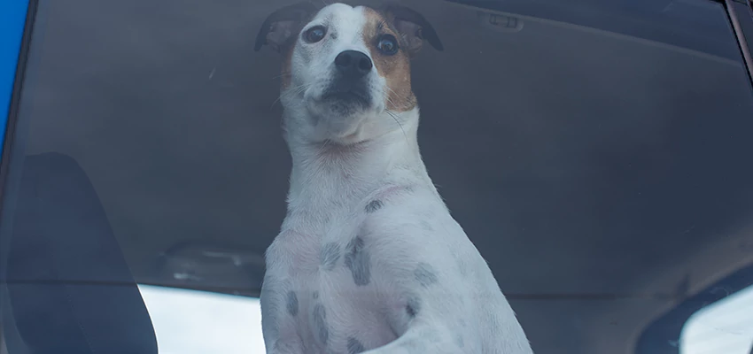 Car Lockout Solutions in Williams, California