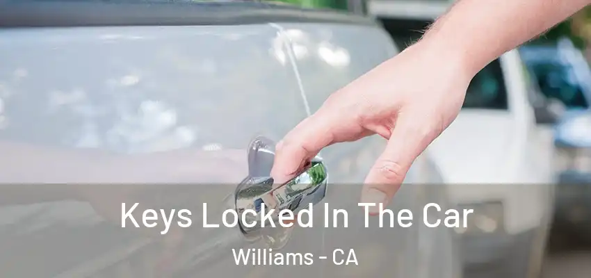 Keys Locked In The Car Williams - CA