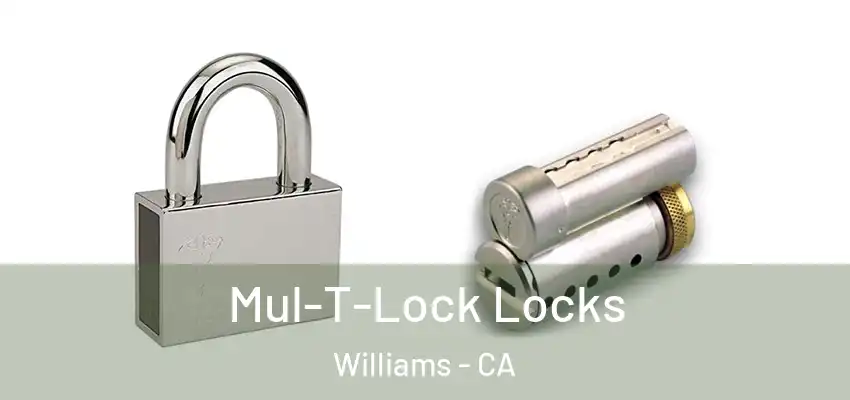Mul-T-Lock Locks Williams - CA