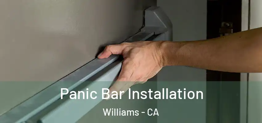  Panic Bar Installation Williams - CA