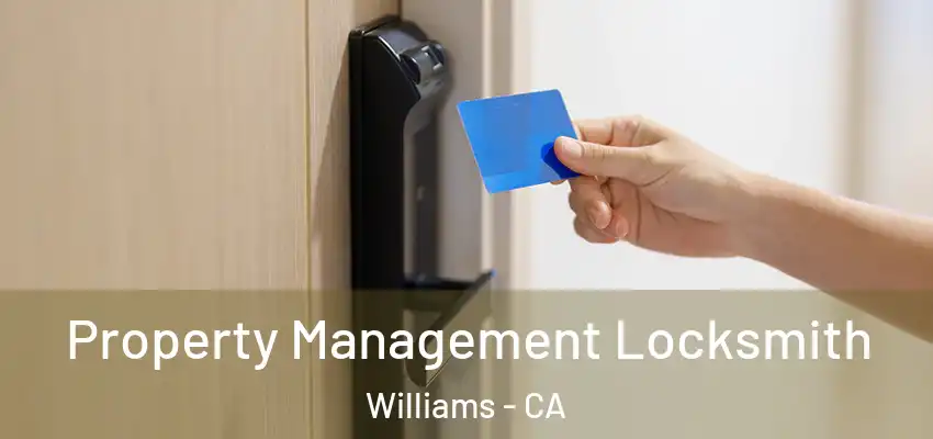 Property Management Locksmith Williams - CA
