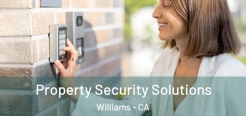 Property Security Solutions Williams - CA