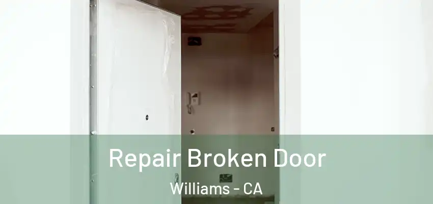 Repair Broken Door Williams - CA