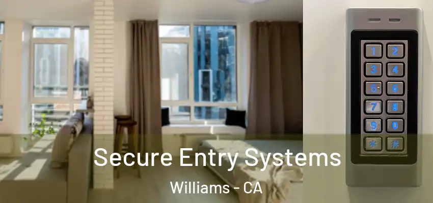  Secure Entry Systems Williams - CA