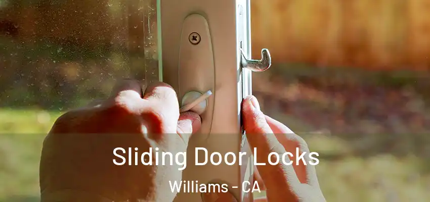  Sliding Door Locks Williams - CA