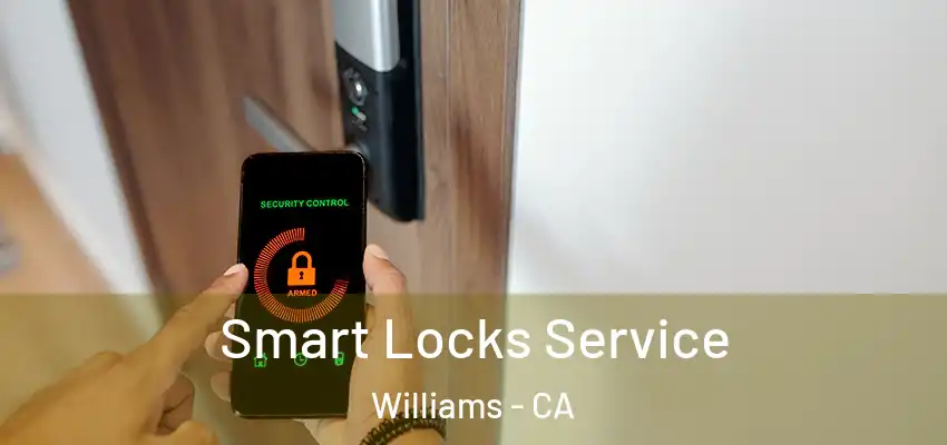  Smart Locks Service Williams - CA