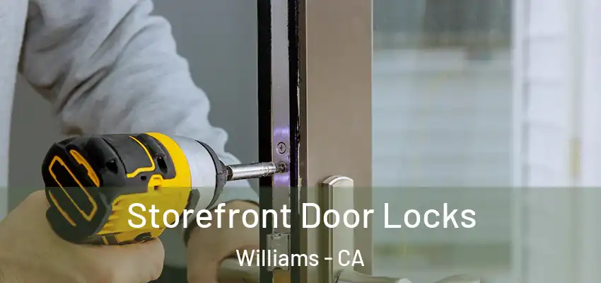  Storefront Door Locks Williams - CA