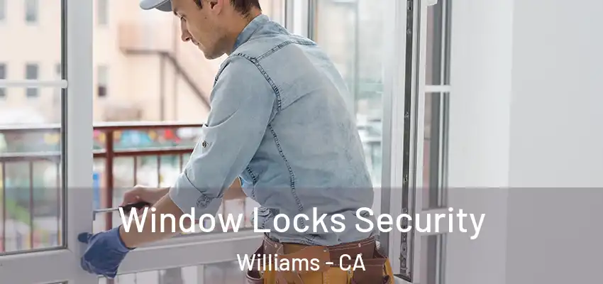  Window Locks Security Williams - CA
